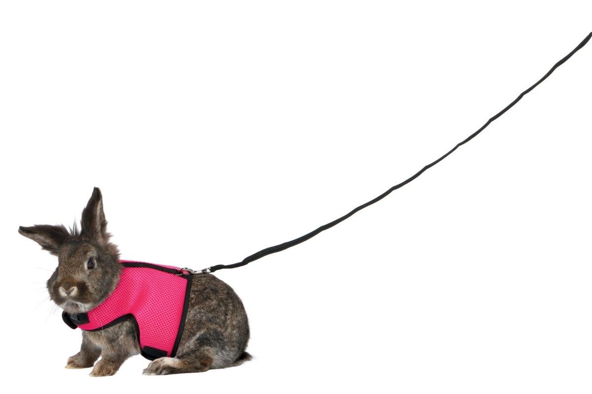Trixie harnais Doux avec laisse pour Grand Lapin