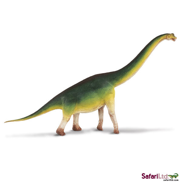 Safari Ltd 300229 Dinozaur Brachiozaur 34,5x1,5cm