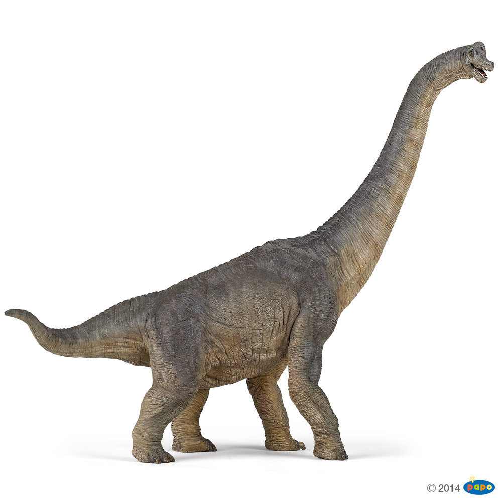 Papo 55030 Brachiozaur 39,5x8x30cm