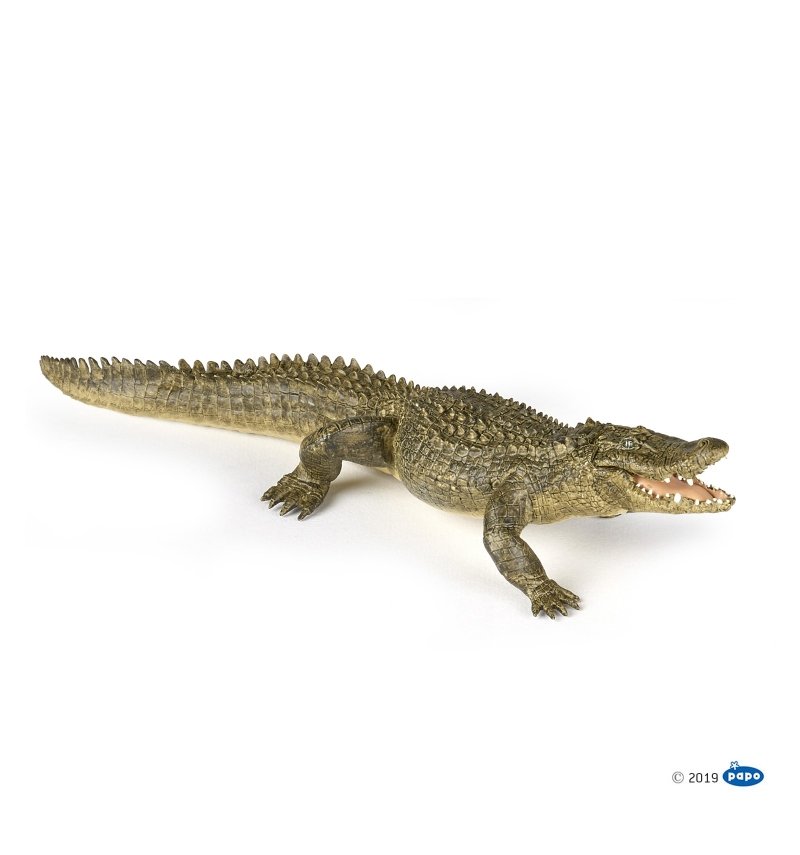 Schleich Aligator