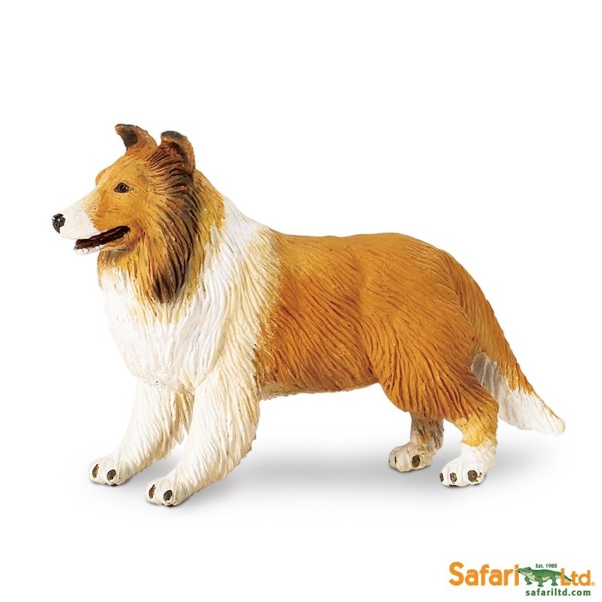 Safari Ltd 239329 Pies rasy Collie 10x6,5cm