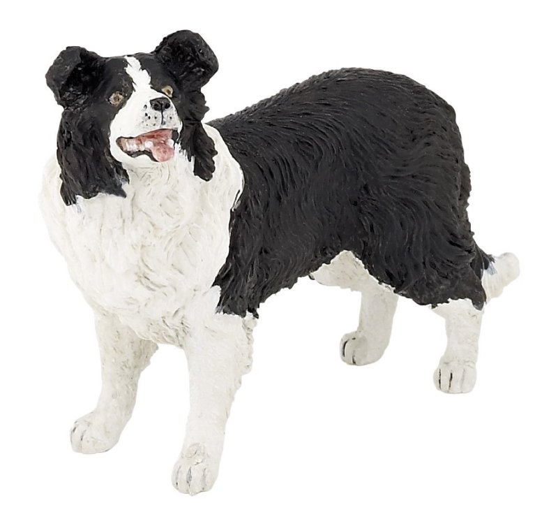Papo Border collie