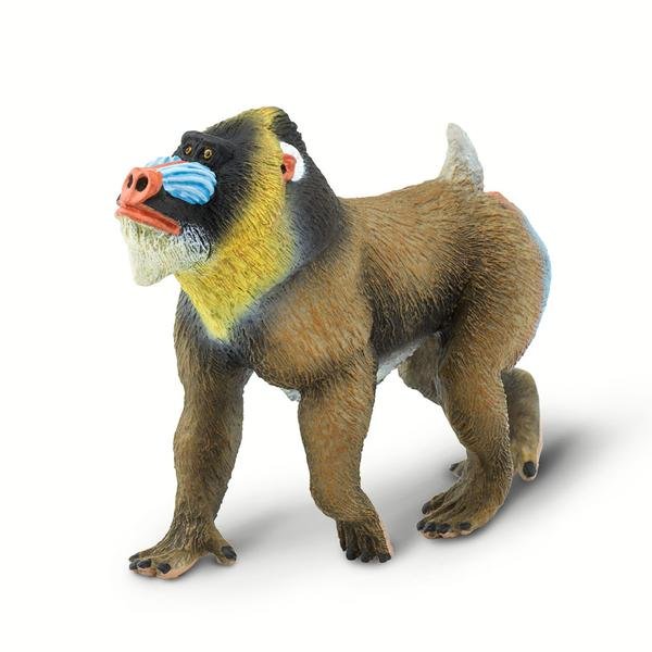 Safari Madryl Barwnolicy - Mandrill Ltd. - 100273