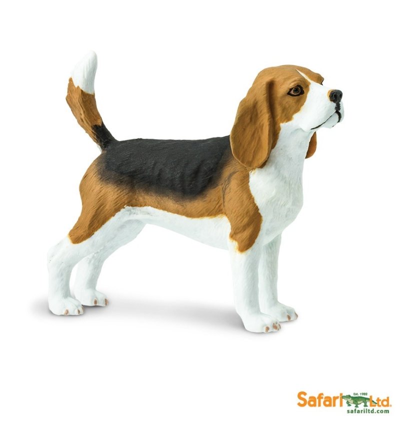 Safari Ltd 254929 Pies rasy Beagle  6,5x4,5cm