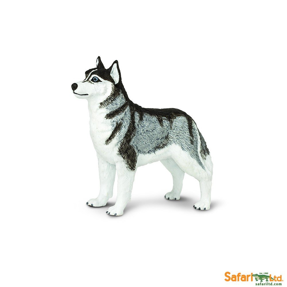 Safari Pies Husky syberyjski - Ltd. - 255229