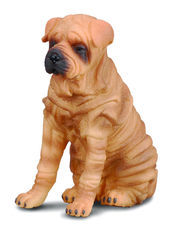 Collecta Pies rasy Shar Pei