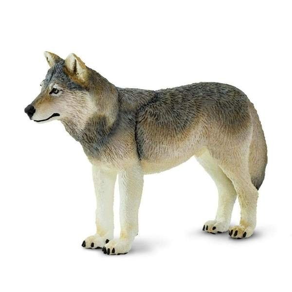 Safari Wilk Szary - Gray Wolf - Ltd. - 100509