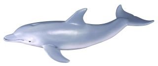 Collecta Delfin butlonosy