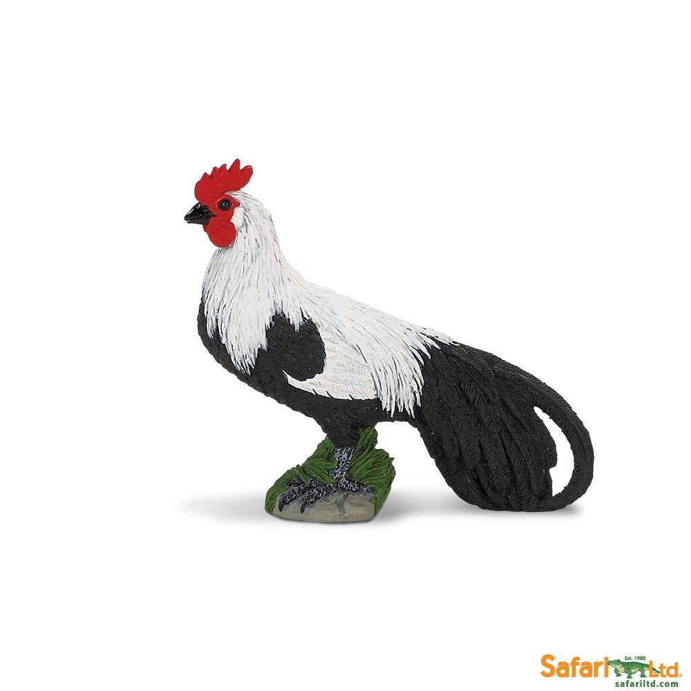 Safari Kogut Feniks - Phoenix Rooster Ltd. 245029