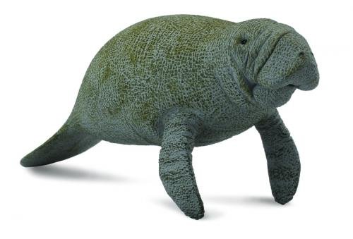 Collecta Słoń morski
