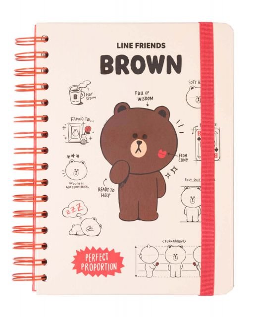 Line Friends Perfect Proportion - notes A5, zeszyt