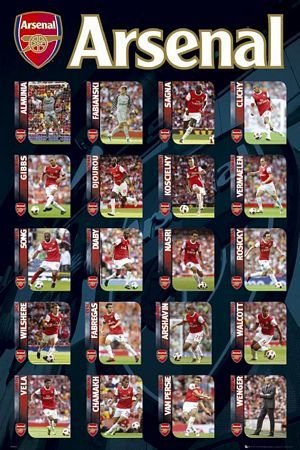GBeye Arsenal Squad Profiles - plakat SP0703