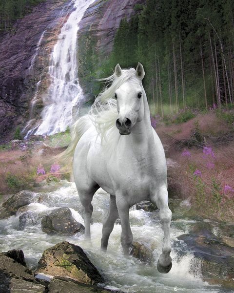 GBeye Waterfall - plakat MP1429