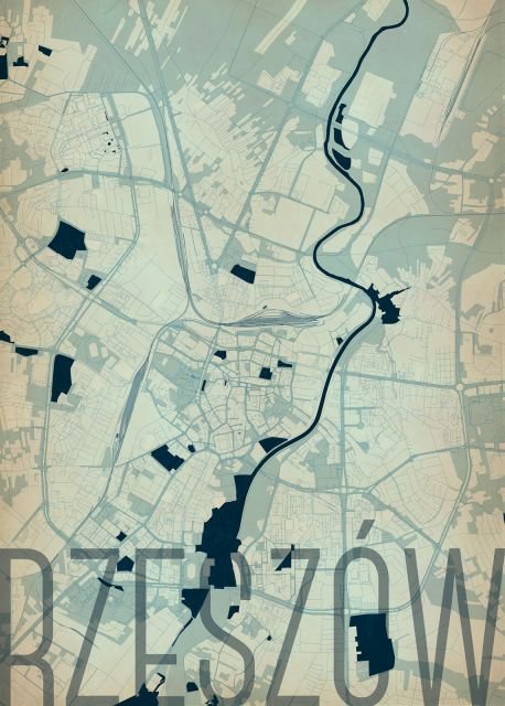 Plakat NICE WALL Rzeszów, Artystyczna mapa 50x70 cm