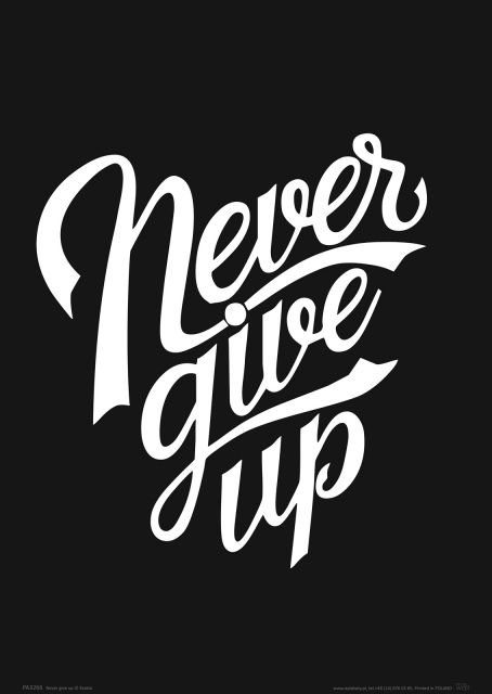 Nice wall Never give up - plakat PA3266