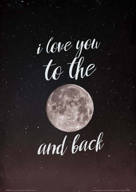 Nice wall I love you to the moon and back - plakat PA3272