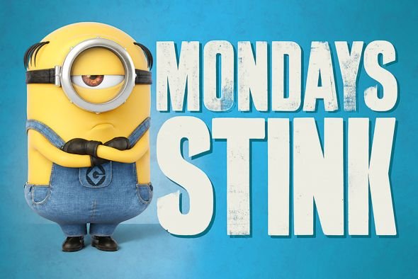 Pyramid Posters Gru, Dru i Minionki Mondays Stink - plakat bajkowy 91,5x61 PP34137