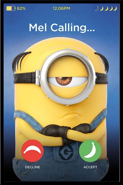 Pyramid Posters Gru, Dru i Minionki Mel Calling - plakat filmowy 61x91,5 PP34139