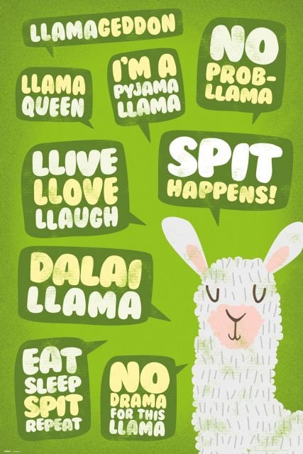 GBeye Llama - cytaty - plakat 61x91,5 GN0881