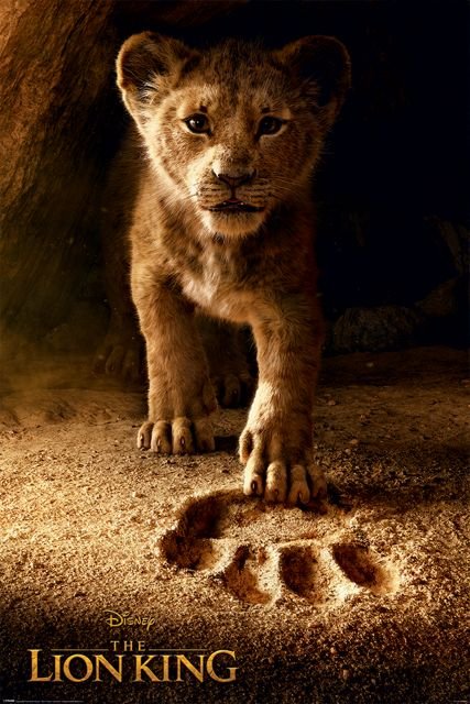 Pyramid Posters The Lion King Future King - plakat PP34477