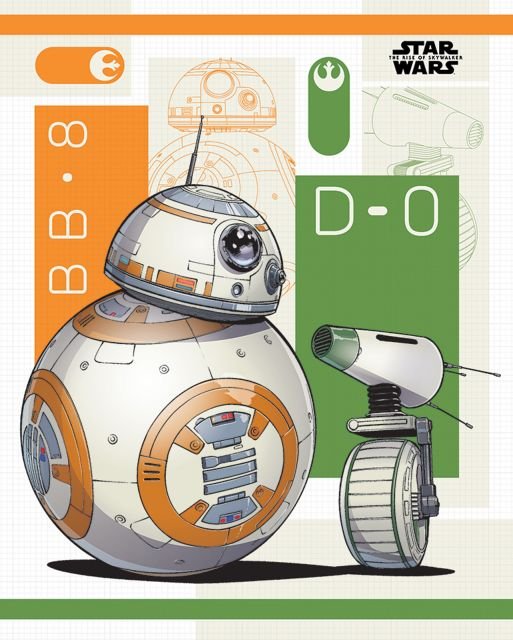 Gwiezdne wojny: Skywalker Odrodzenie BB-8 i D-0 - plakat 40x50 cm