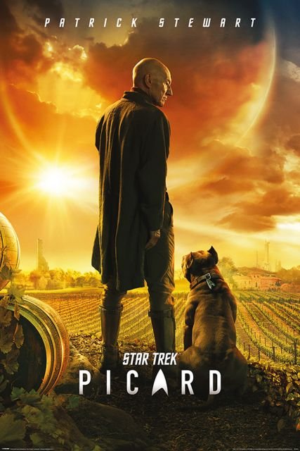 Star Trek Picard Number One - plakat 61x91,5 cm