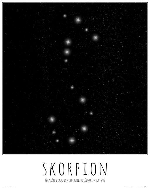 Plakat NICE WALL Skorpion konstelacja gwiazd z opisem, 40x50 cm