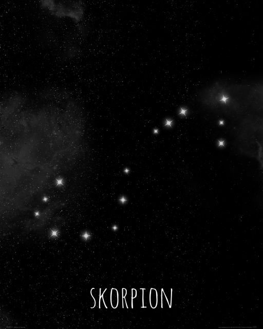 Plakat NICE WALL Skorpion konstelacja gwiazd, 40x50 cm