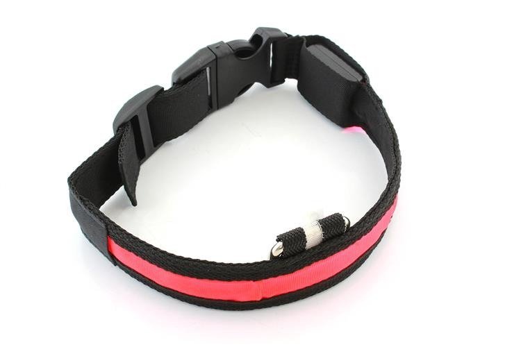 dr Seidla APTEL świecąca LED 35-42CM red AG232