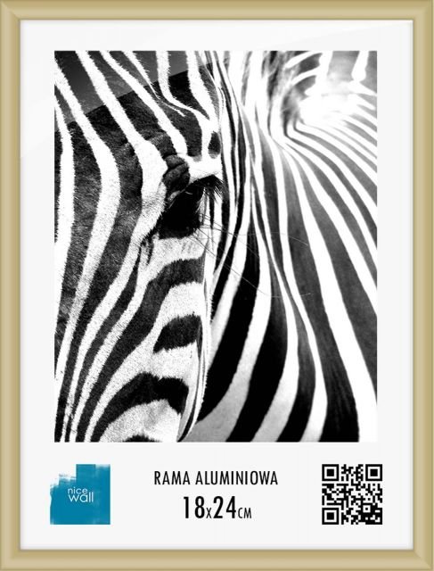 Nice Wall Rama aluminiowa 18x24 cm ALUCZ18X24