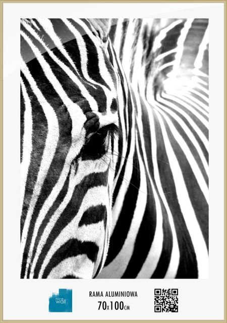 Nice Wall Rama aluminiowa 70x100 cm ALUCZ70X100