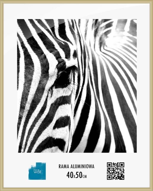 Nice Wall Rama aluminiowa 40x50 cm ALUCZ40X50