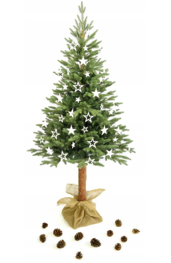 Opinie o Choinka sztuczna premium - Świerk Kanadyjski PE 220 cm - na naturalnym pniu - NR 1866 SW-PE-NP-220