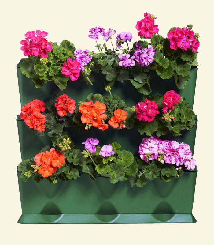 Modułowy ogród domowy zielnik zielona ściana Minigarden Vertical - zielony - 9 roślin MGSET1GR