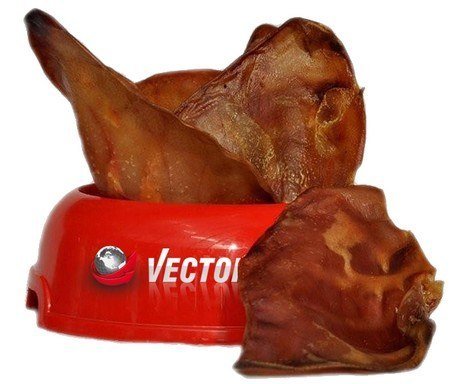Фото - Корм для собак Vector Food Vector-Food Ucho wieprzowe duże 10szt 