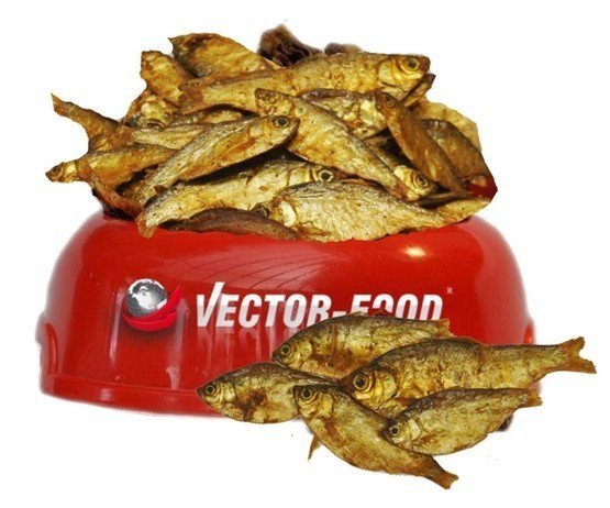 Vector Food Suszona rybka sardynka) 100g