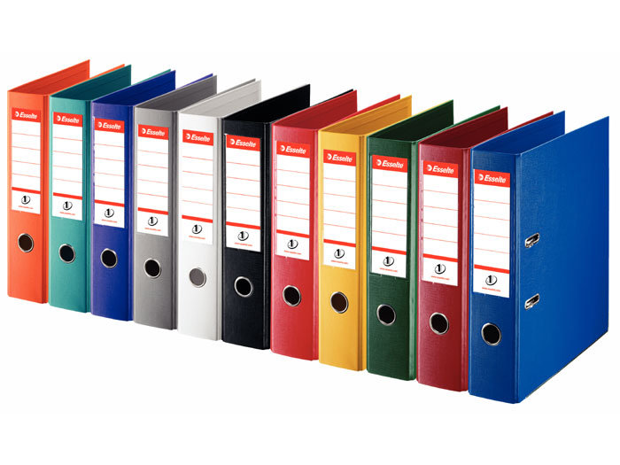 Esselte SEGREGATOR NO.1 A4/50 J.ZIELONY