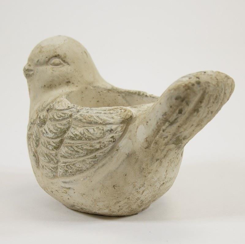 Ptak PIGMEJKA, 7,5 cm