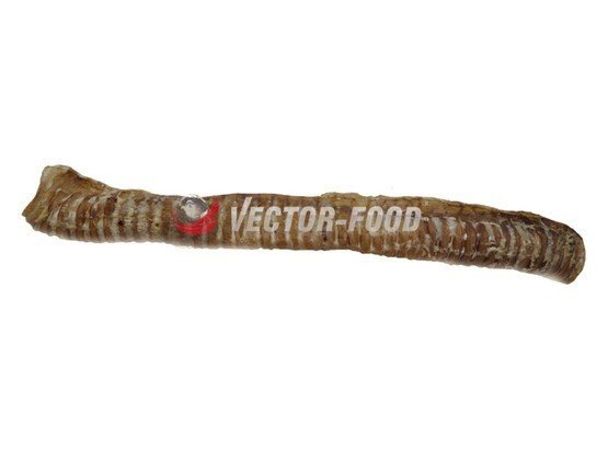 Фото - Корм для собак Vector Food Vector-Food Tchawica wołowa cała 1szt/35cm 