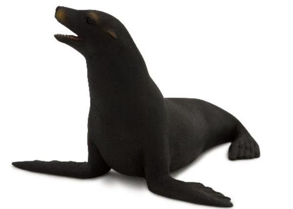 Animal Planet 7115 Uchatka kalifornijska roz. L