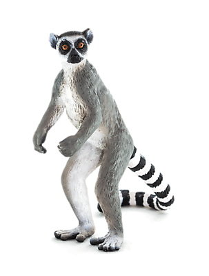 Animal Planet Lemur katta