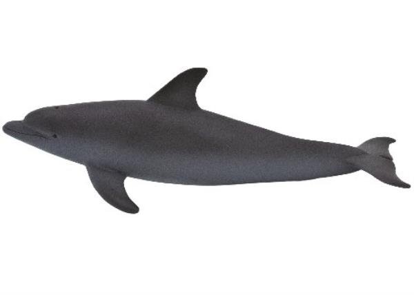 Animal Planet Figurka Delfin butlonosy