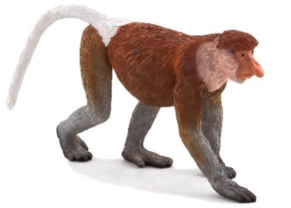 Animal Planet Nosacz