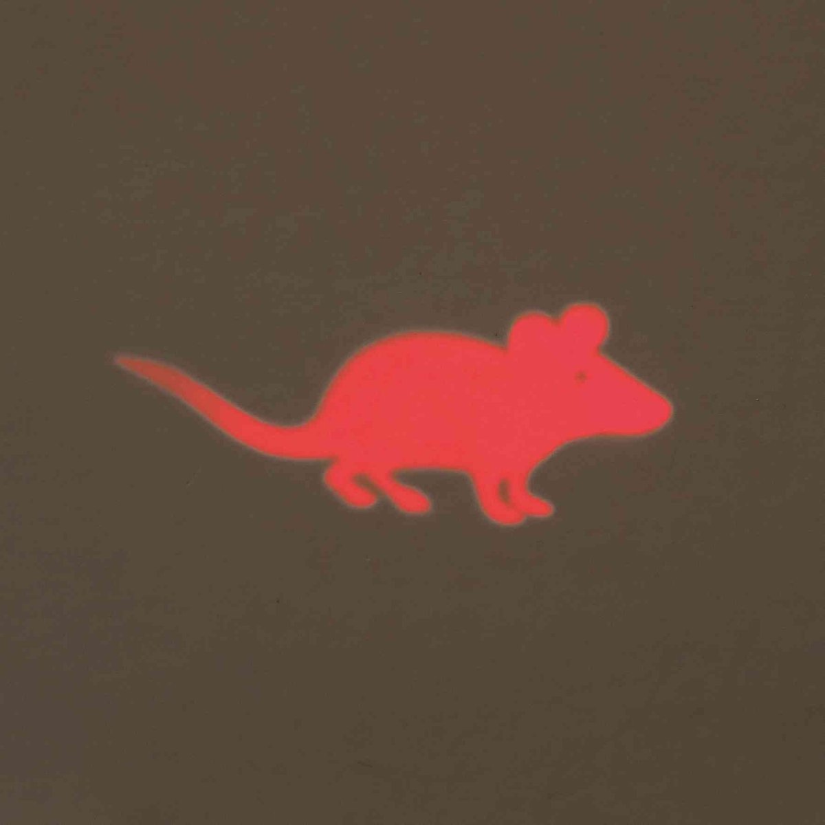 Trixie Wskaźnik Laserowy LED mysz plastik 11 cm