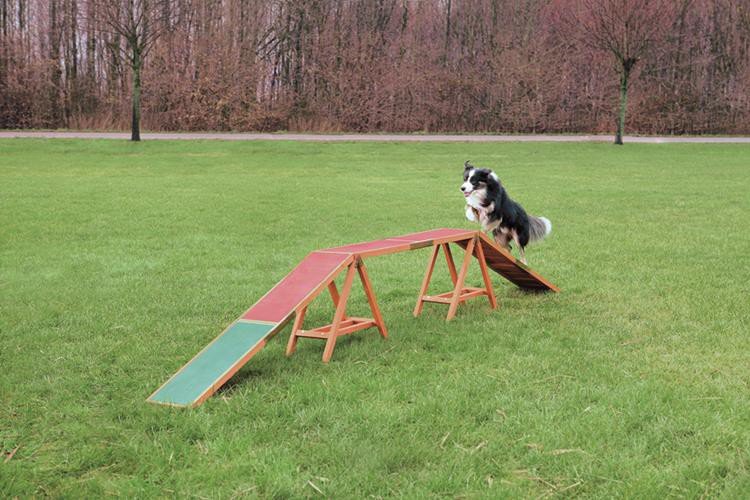 Trixie 32090 psy Agility mostka, 456 x 30 x 64 cm