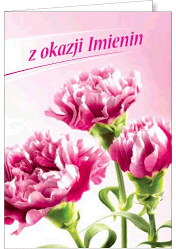 Kartka imieninowa z życzeniami FF 1264