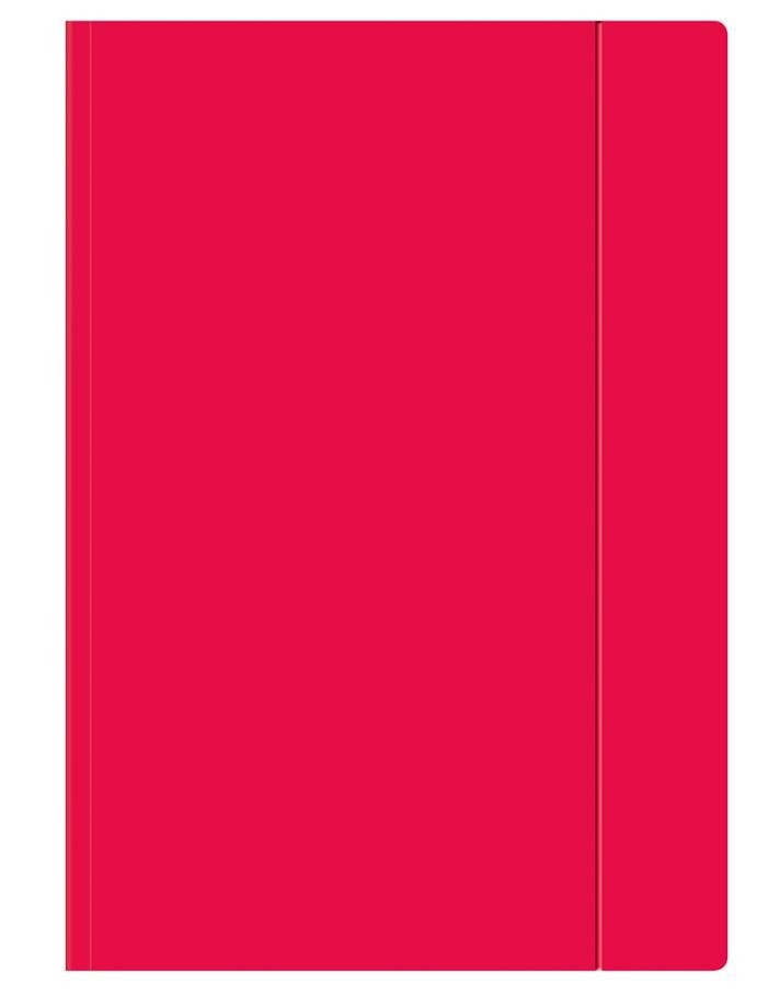 Ateneum Teczka z gumką A4+ Fluo malinowa (10szt)