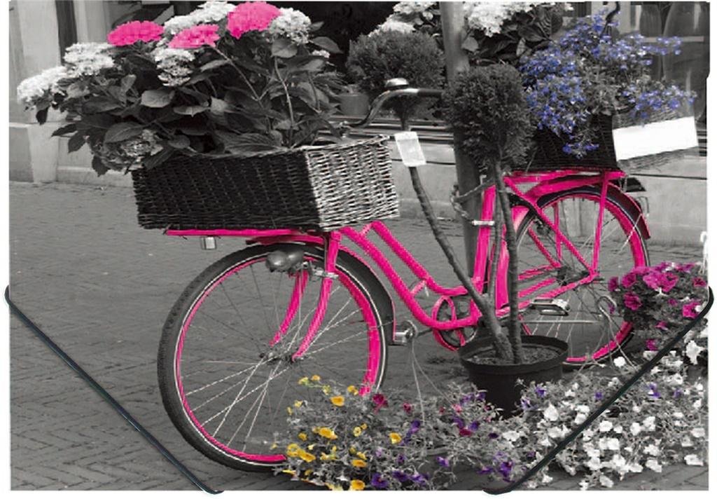 PANTA PLAST Teczka na gumkę A4 z nadrukiem Bike