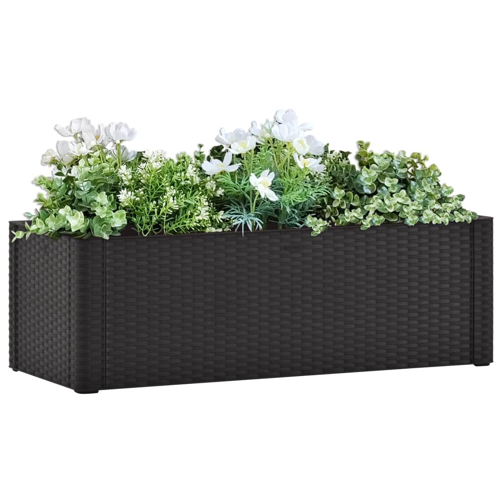 vidaXL Podwyższona donica z systemem podlewania, antracyt, 100x43x33cm