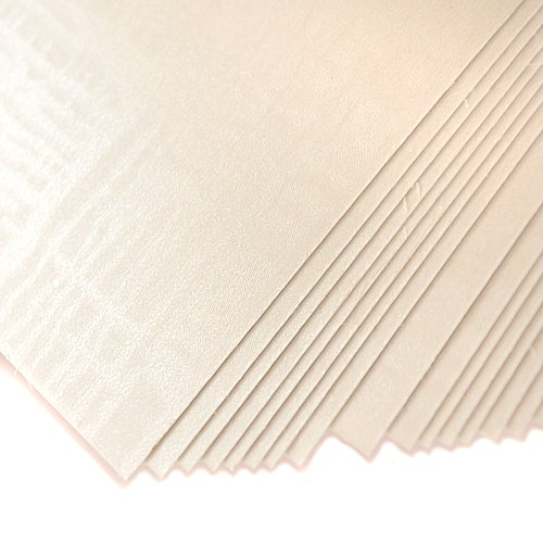 Galeria Papieru Karton Ozdobny Premium 220g/m2 SATYNA BIAŁY 20 arkuszy A4